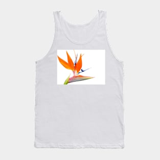 Bird of paradise flower isolated on white. Tank Top